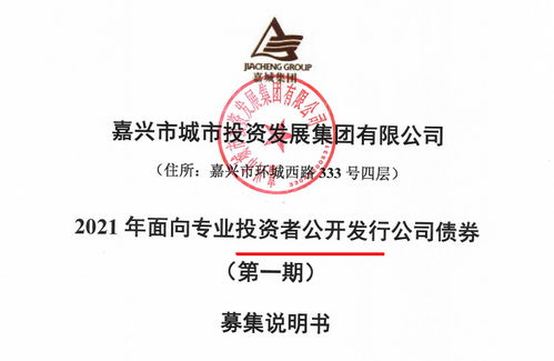 嘉城集團擬發(fā)行15億公司債券 存盈利對政府補助依賴較高風險